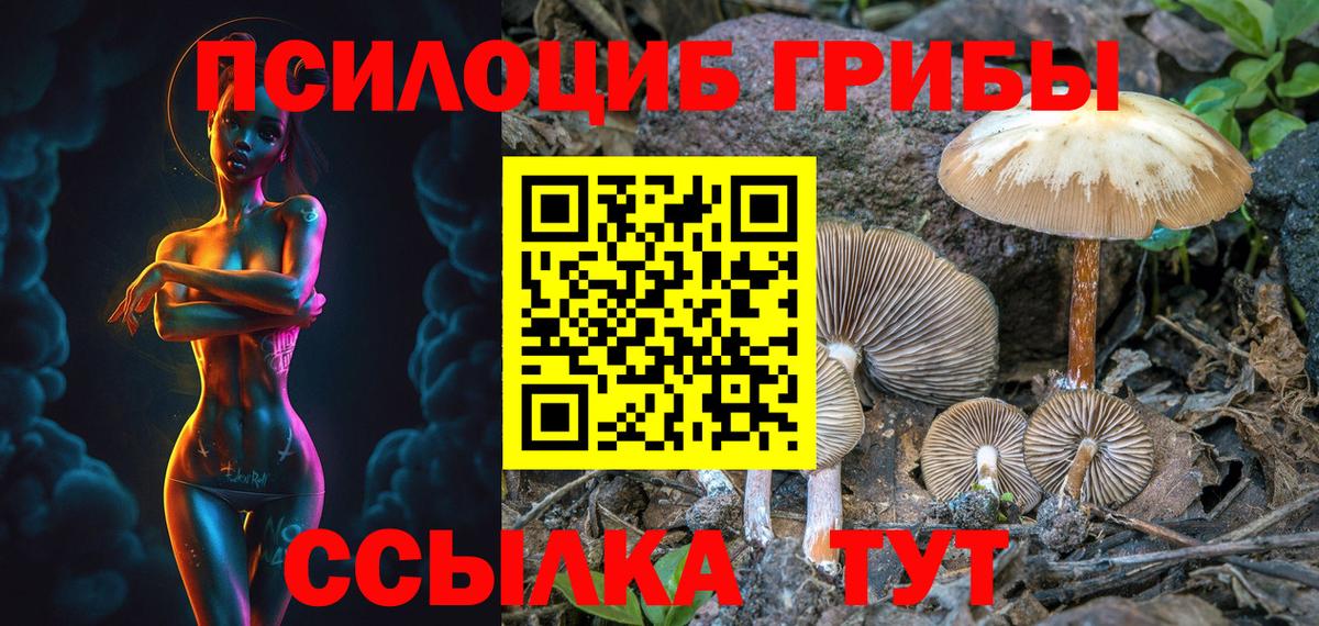 Печора  Галлюциногенные грибы Cubensis  Галлюциногенные грибы ЛСД  Вход с VPN 