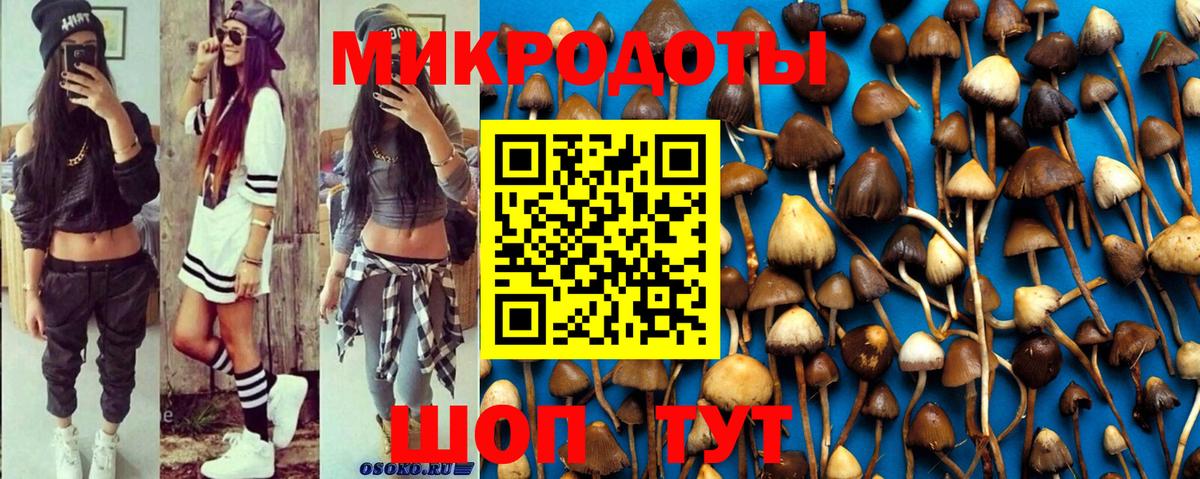 Псилоцибиновые грибы Magic Shrooms Печора
